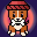 meme.dev.inu