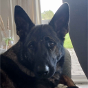 avatar 𝑺𝒌𝒚𝒍𝒆𝒓