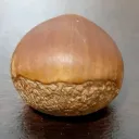 kuri_1579