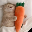 sleepycatzzzz_.