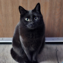 avatar gorepixxie.jpg