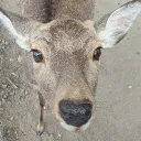 dr_chagamaのアバター