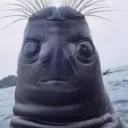 pozole0985_03790 avatar