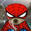spidergoa.t avatar