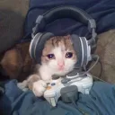 perhapsbecca