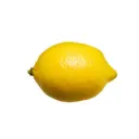 majestic_seahorse_91408 avatar