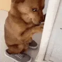 dermmmwwro.