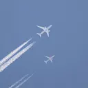archie_151