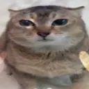 vkkro