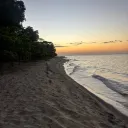 viixz_.