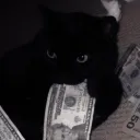 toezs.1