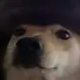 .themelon.