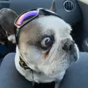 mrmikzz