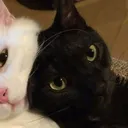 mrmikzz