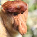 Аватар serzhan0106_28318