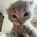 dwwun