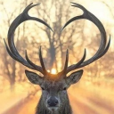 mwl1975rebecca306's Avatar