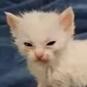 augghggghghhg