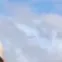 luis_gg099