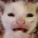 welsluvu