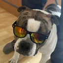 marcel039441