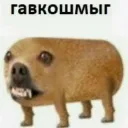 Аватар sania038797