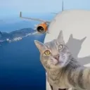 .pablo8_