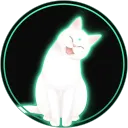 notjskitty