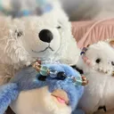 nina.mikotoba_09997