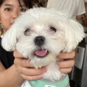 Ployprawe (ง'̀-'́)ง