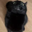 taktasahira