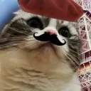 Аватар r33loww3_86427