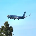 planes1244