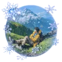 falcon_zone_limited