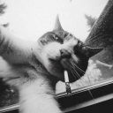 not_bordie's Avatar