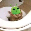 i_have_no_user_idea