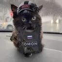 Майор Кошаков