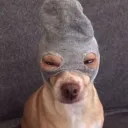 rcloxxer