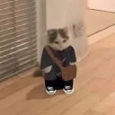 kateonbxsh