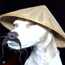 avatar humble chinese kung fu student