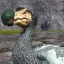 dodobird_1836934