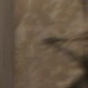 avatar AMOK DAMNATION