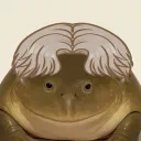 czerrotic