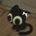 .n0t_sc4r.
