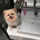 avatar Bác xê lô na