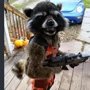 meekotheraccoon12