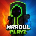mradul_playz