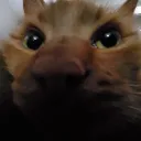itspudgyy