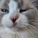 errorb0t
