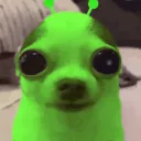 supercharged_toaster avatar